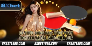 Cá cược bóng bàn: Cách phân tích kèo và đặt cược hiệu quả